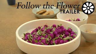 Follow the Flower: TRAILER