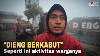 DIENG BERKABUT, SEPERTI INI AKTIVITAS WARGANYA