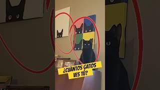 ¿Cuántos Gatos  Hay Realmente?  | Enigmatik
