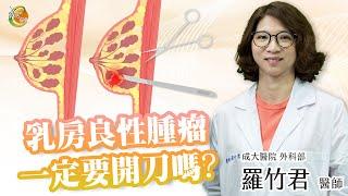 【乳房良性腫瘤一定要開刀嗎？】羅竹君醫師-成大e學堂