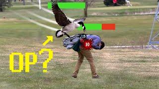 Are Geese OP?