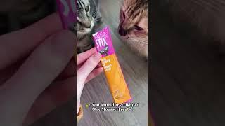 Tiki Cat Stix: Gourmet Treats with Tuna and Scallops in Gravy!