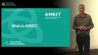 AMBIT  - description of model