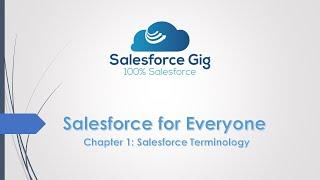 Basic terms in Salesforce - Objects | Fields | Records | Tabs | Apps | List Views | Page Layouts