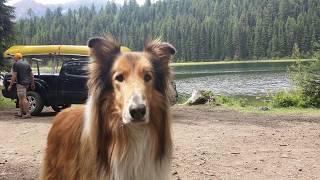 Tribute to Jake