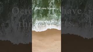 Did you know?