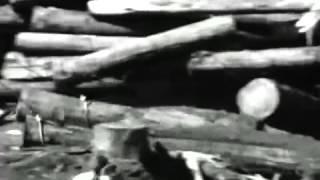 Historic Logging Operation and Scenic Footage   Schafer Bros