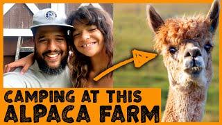 RV CAMPING AT A FARM / BOONDOCKING WITH HARVEST HOST