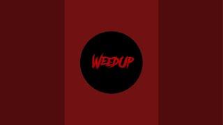 WeedUp Media is live!