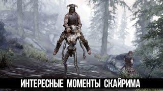 Skyrim Интересные Моменты и Секреты Игры