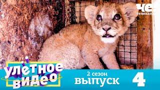 Улетное видео | Сезон 2 | Выпуск 4