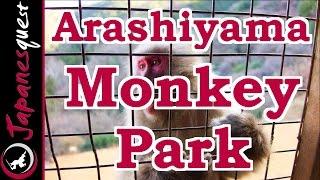 Arashiyama Monkey Park Tour! | Video Japan Guide