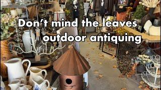 NICE FALL DAY TO DO SOME OUTDOOR ANTIQUING