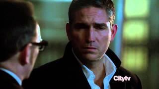 Person Of Interest : Bear's Bad Days