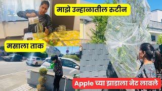 माझे उन्हाळातील रुटीन | Apple च्या झाडाला नेट लावले .. मसाला ताक recipe  #1262