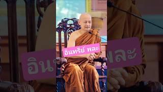 ศรัทธาไหม #ธรรมะ #พุทธวจน #พระอาจารย์คึกฤทธิ์ #วัดนาป่าพง #อินทรีย์  #สาธุ #นกพรทิพย์