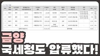 [개잡주] 금양 13편 | 국세청의 추가 압류 | 회생 불가의 길로 가고 있는 금양