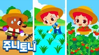 농부‍ | 우리가 매일 먹는 쌀과 과일! 어떻게 자라나요? | 뿌리고, 키우고, 거두고 | 벼농사, 밭농사 | 직업체험 | 직업동요 | 주니토니 | JunyTony