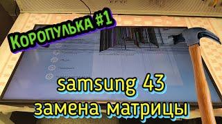 Коропулька #1. Замена матрицы на телевизор Samsung 43''