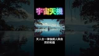 宇宙天機：“道”的十大規律 #開悟 #覺醒