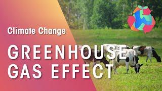 The Science of Greenhouse Gas: Causes and Effects | FuseSchool