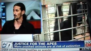 Ofir Drori on CNN - The Last Great Ape