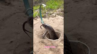 DIY Snake Trap make From Metal cutting motor # snake #snakeinhole #snaketrap #creativesnaketrap