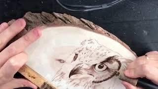 Pyro-Art: Making of Owl by Voncrea