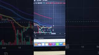 Dogecoin Shorts Fill The Gap Up | Dogecoin News