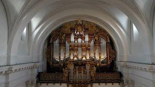 Die große Orgel im Dom zu Fulda - Vorstellung und seltene Einblicke in das Musikinstrument