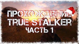 Прохождение True Stalker #1 - Новая вылазка