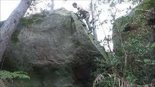 Fontainebleau - Franchard Hauts Sablons - The Last Waffle 7A