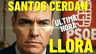 NUEVO GOLPE a PEDRO SANCHEZ- ¿Qué dice el NUEVO INFORME de LA UCO? ACORRALADO SANTOS CERDAN.