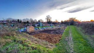 EP 9: No Dig, Big Fail - Allotment Plot No. 9