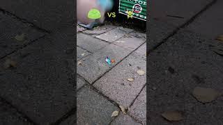Jelly Bean vs Gym Weight  #asmr #jellybean #jellybeanasmr