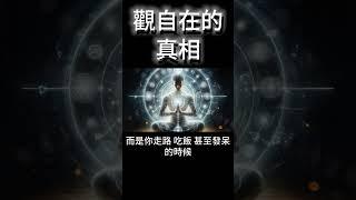 觀自在的真相：覺醒，從此刻開始！ #開悟 #覺醒