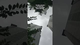 구축아파트 상위권.지분 크고 .용적율 낮은 광흥창역세권 예가아파트 실거래가 확인.마포세종부동산상담 문의 02.714.8988