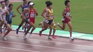 2024年 埼玉県高校新人陸上 男子1500m予選3組