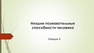 Лекция 3. Низшие познавательные способности. Пытливость.