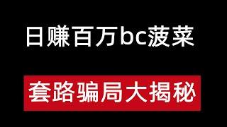 日赚百万bc菠菜套路骗局大揭秘，菠菜项目，bc骗局揭秘，bc赚钱项目。