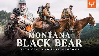 Montana Black Bear | With Clay and Bear Newcomb