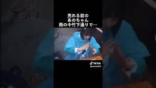 これはっ声出たWWWWあのちゃんの奇行WW#tiktok #あのちゃん #love #me #あのちゃん #ひろゆき#ショート#shortsvideo #おすすめ