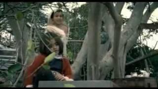 Airtel Tree House Advertisement. Birds and Tree Special 5 ad