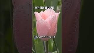 자신의 약점과 결점을 알라