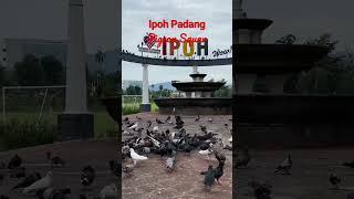 Ipoh city Perak, Malaysia  #ipohperak #ipoh #pigeonlover #malaysia