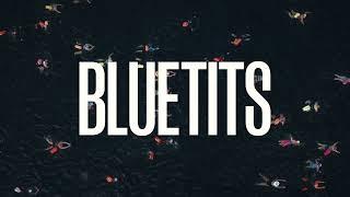 Bluetits Documentary Trailer - Academy Films, directed by Katie Burdon