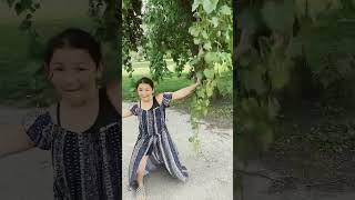 Aguacates  ￼from Mexico#shortvideoviral