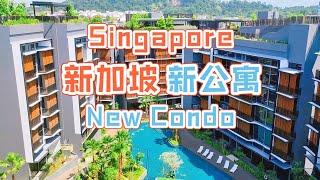 [CN/EN SUB] Tour of Singapore Brand New Private Condo Daintree Residence 参观朋友在新加坡买的新私人公寓