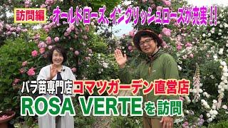 オールドローズ、イングリッシュローズが充実！！ばら苗専門店コマツガーデン直営店ROSA VERTEを訪問～ガーデンドクターTV53