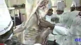 Culinary Academy of India Beef cuts